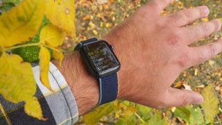   Apple Watch SE на запястье