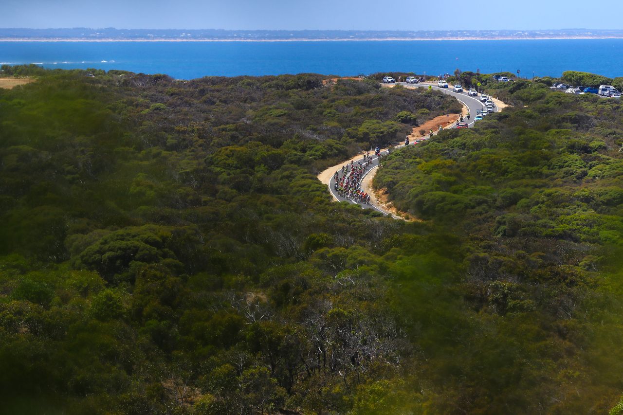 The peloton winds its way down the road