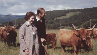 Queen Elizabeth II and Prince Philip in a field with some highland cattle at Balmoral, Scotland, 1972.