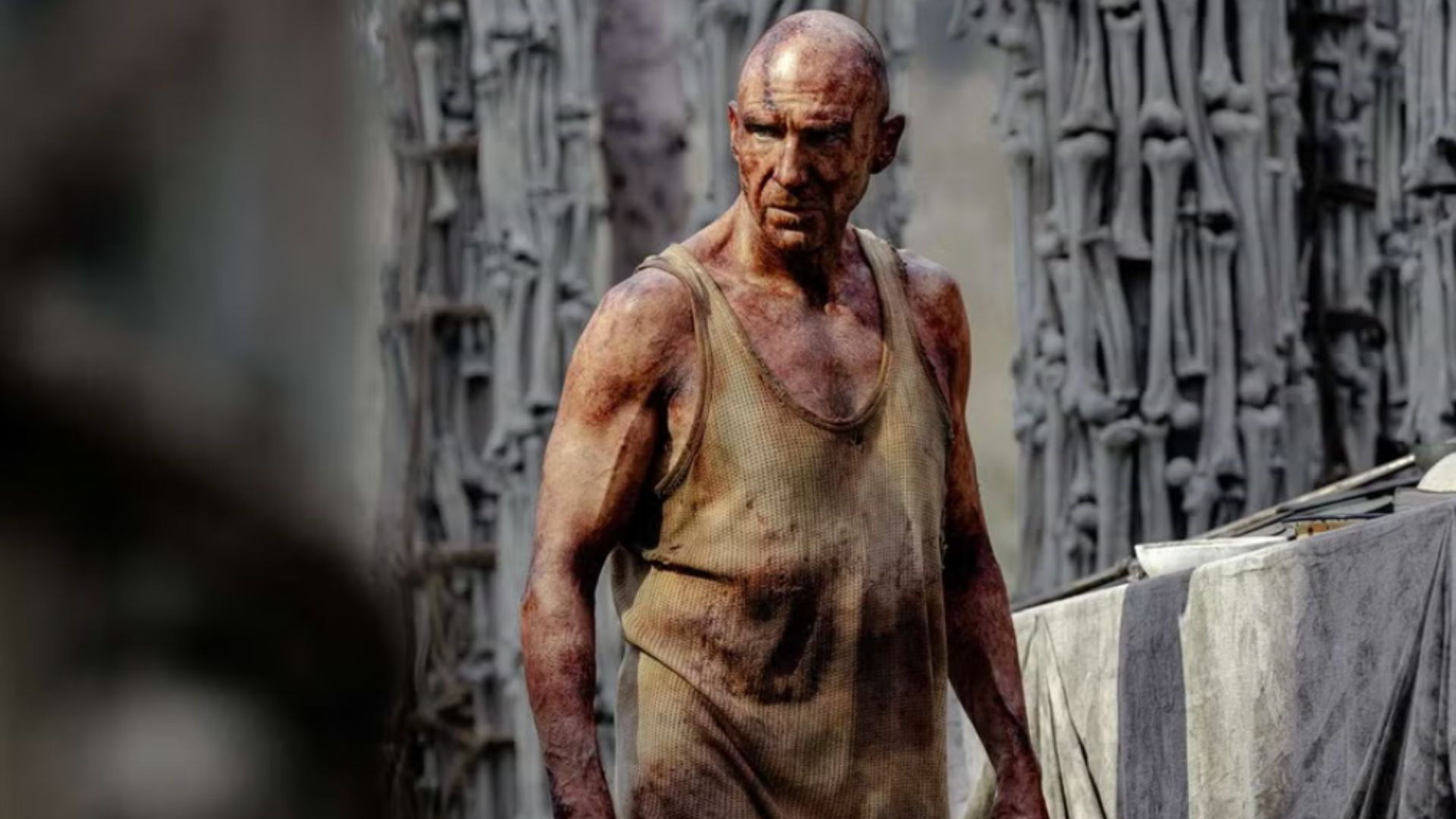 an image of Ralph Fiennes in character as Dr Ian Kelson in 28 years later
