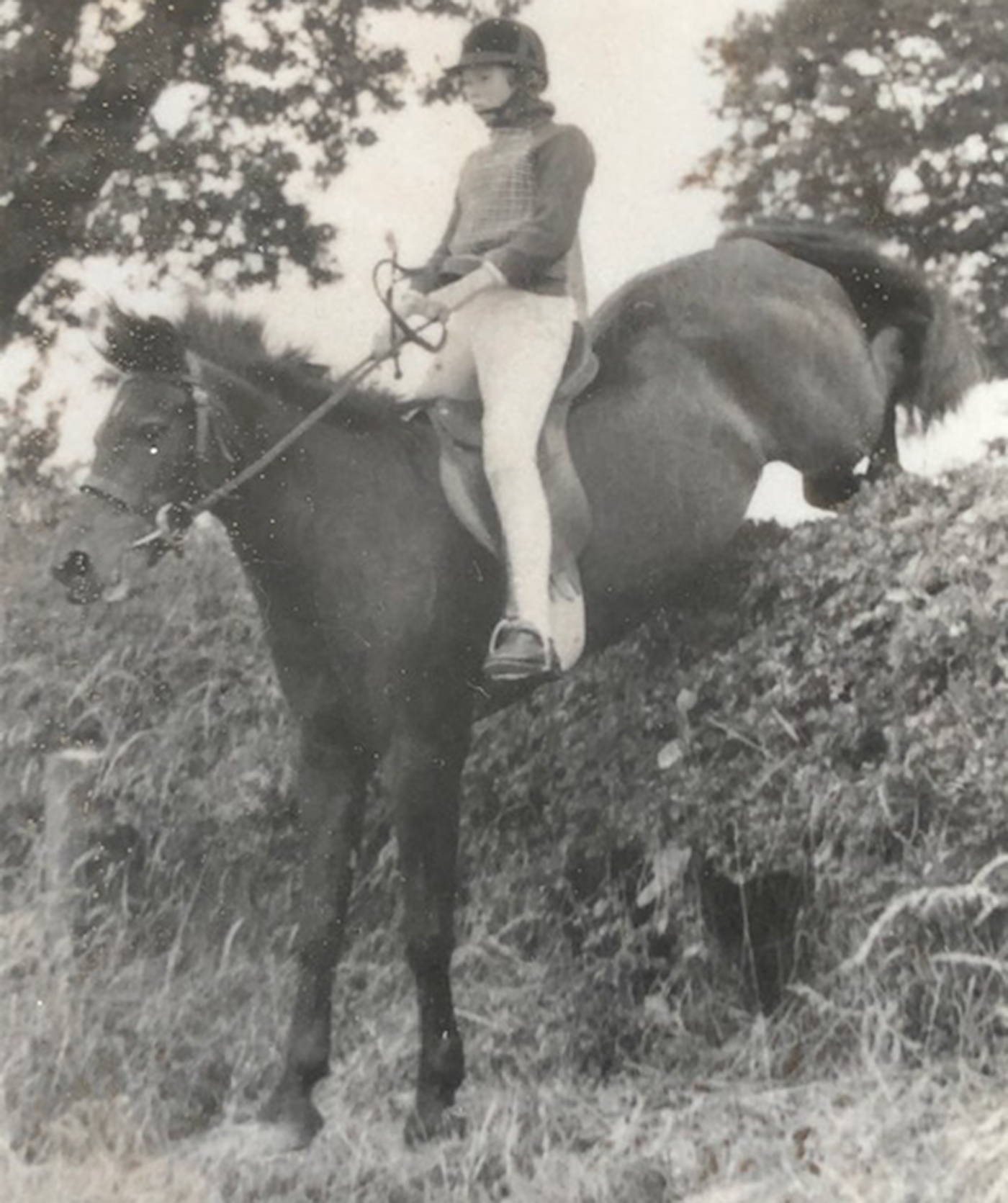 louise-stewart-muir-NShropsPCODE1971_396223832_693520651.jpg
