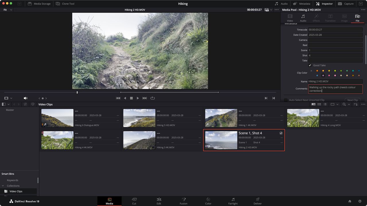 Screenshot of the DaVince Resolve 19 Interface