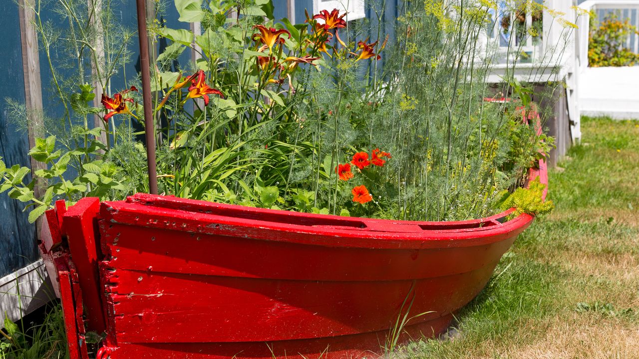 Recycled raised bed made out of an old boat