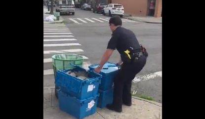NYPD officer carries away rocks.