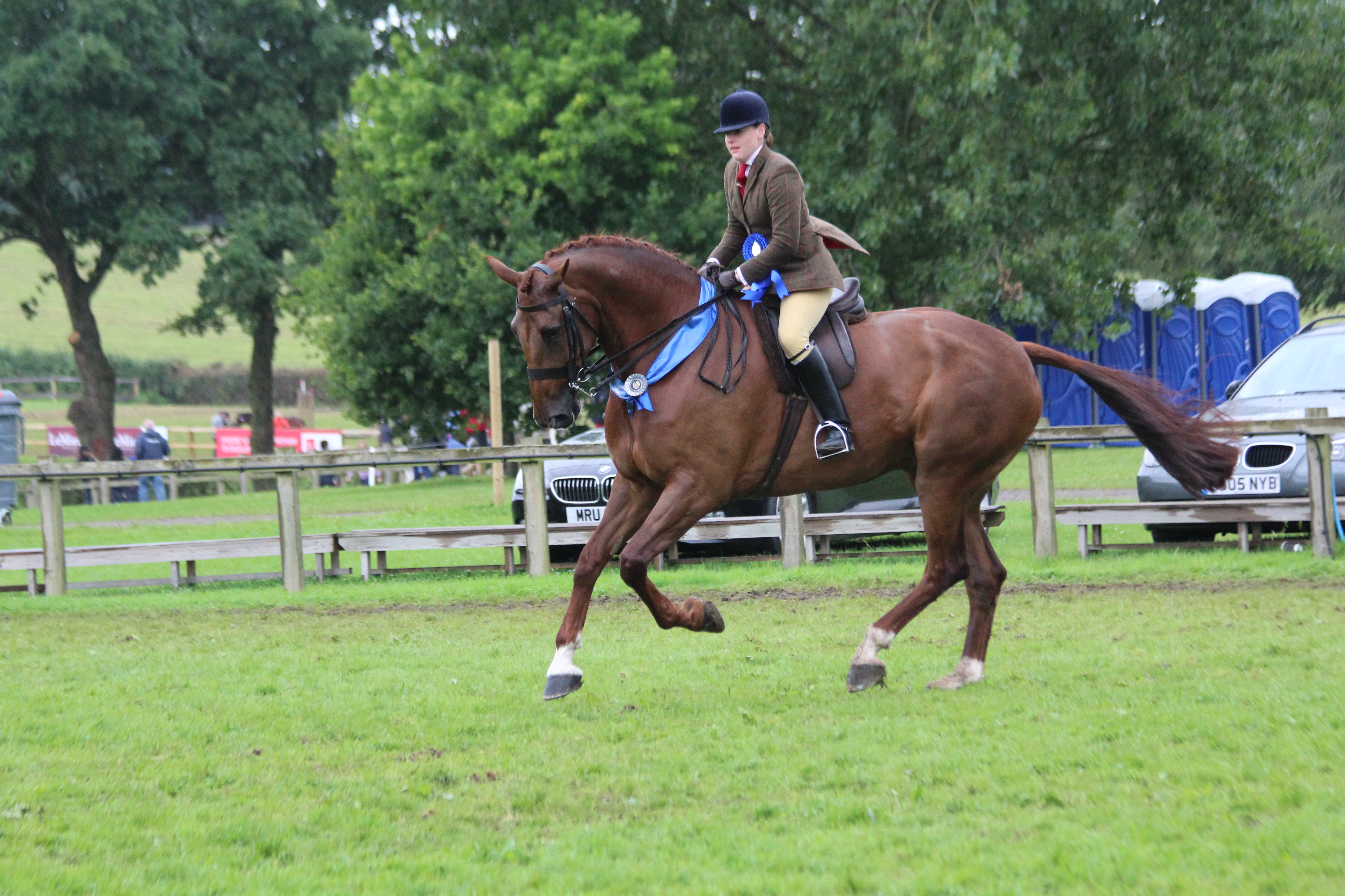 Amateur heavyweight hunter: Lord John