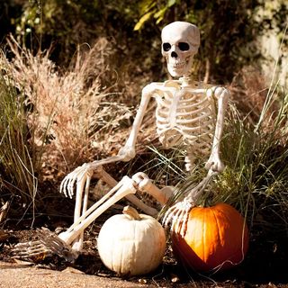 Halloween skeleton