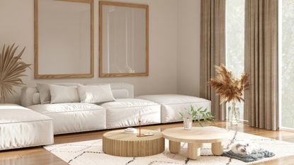 Neutral living room with white couch
