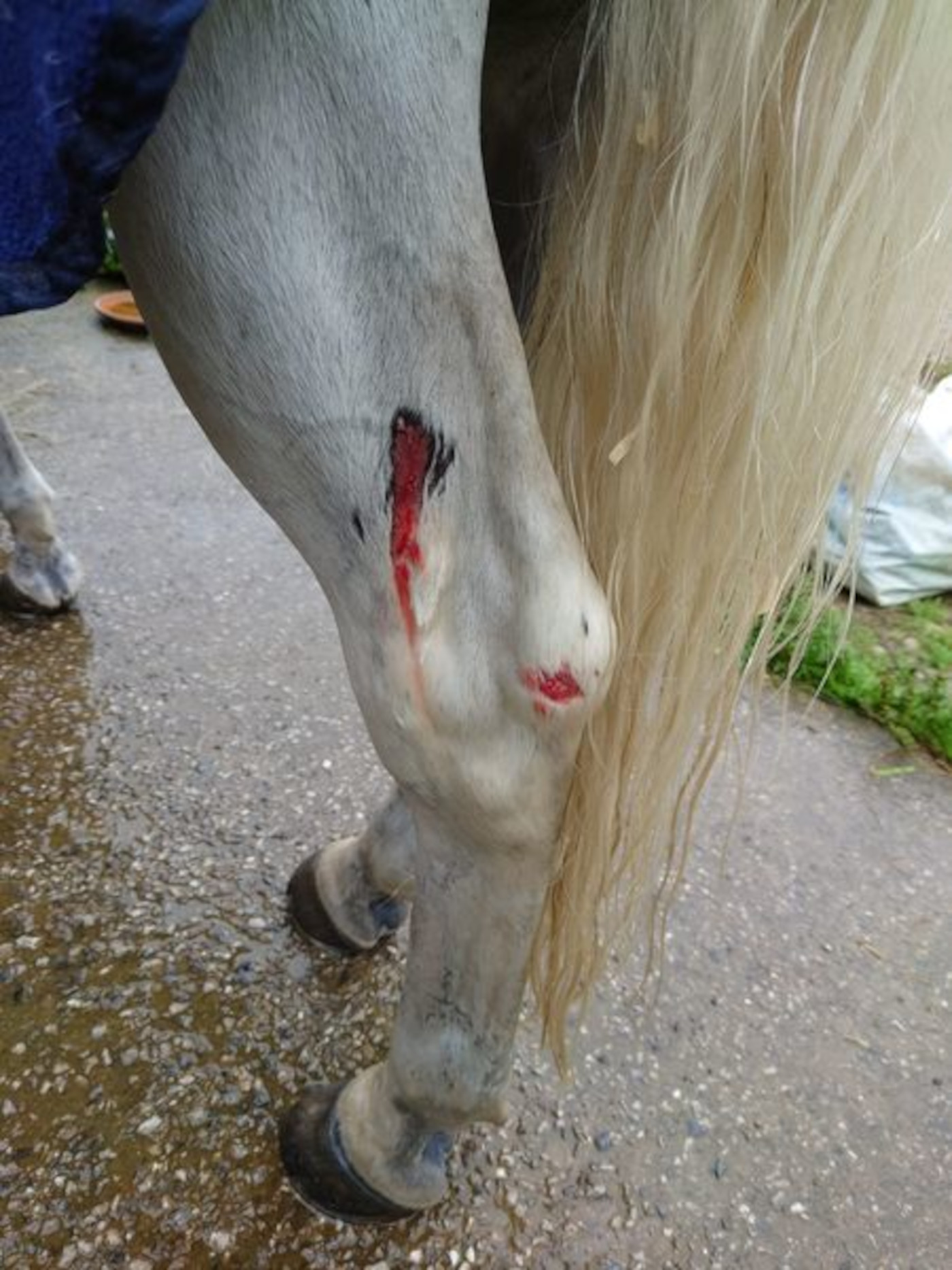 Injury