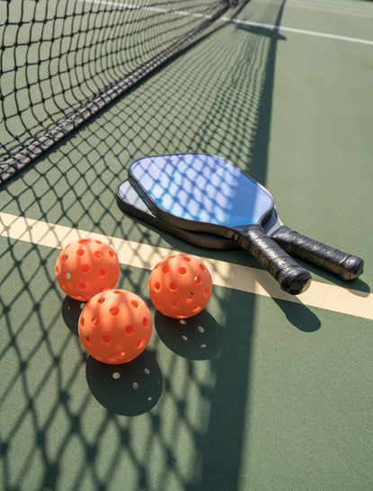Play a Game of Pickleball 