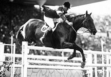 foxhunter.jpg