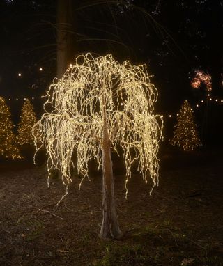 magical wishing tree for Christmas