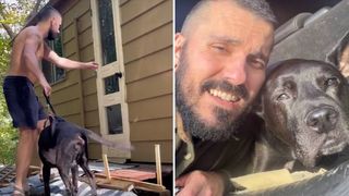 man builds cabin door for his dog