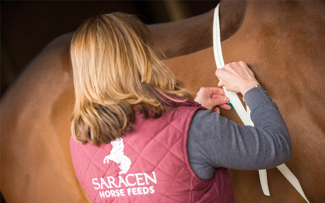 Saracen Image 3