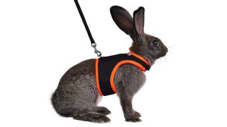 Niteangel Adjustable Soft Rabbit Harness