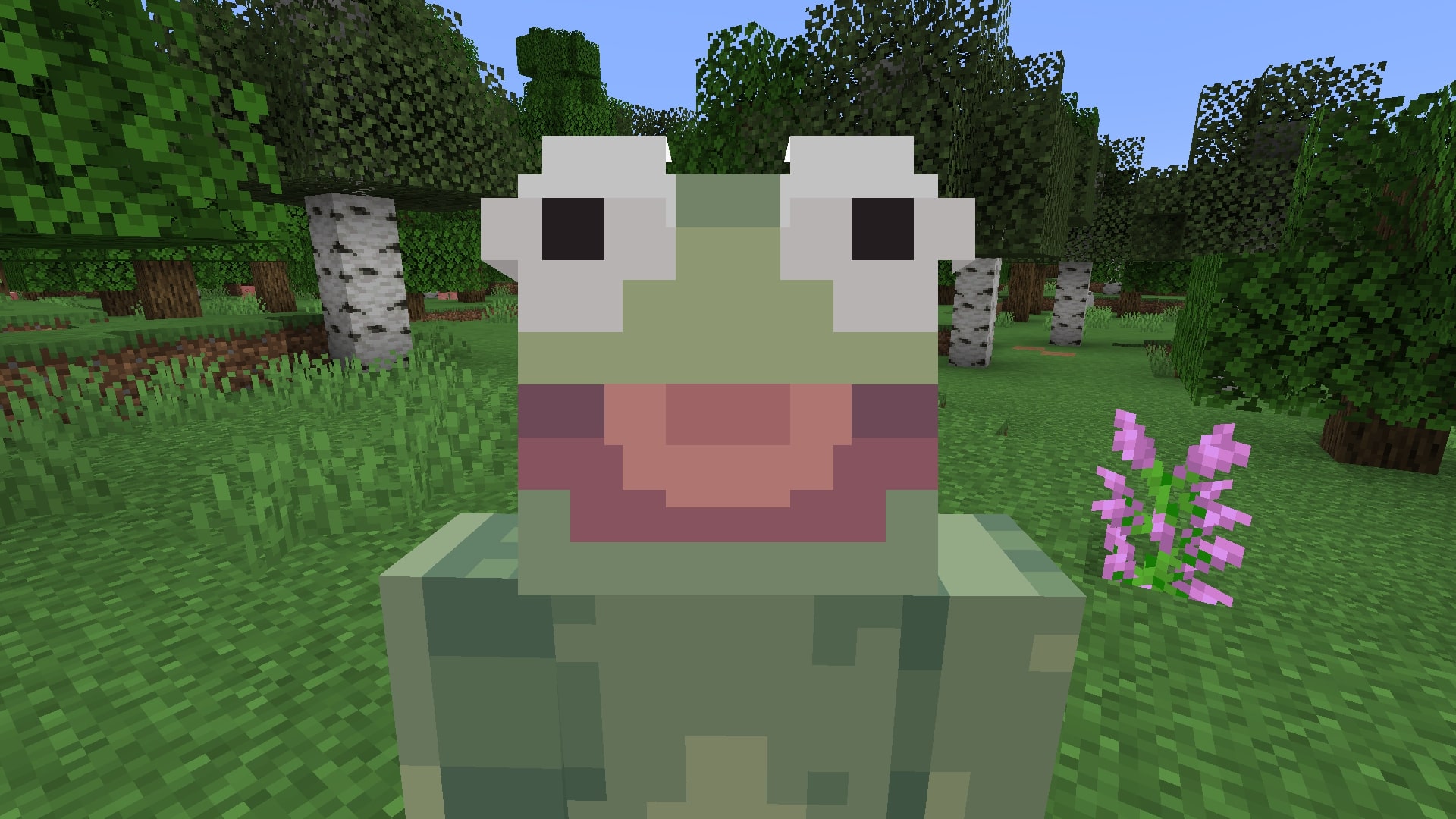 A close up of the Kermit Minecraft skin