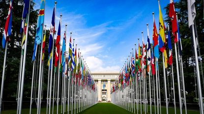 Flags leading to U.N. building