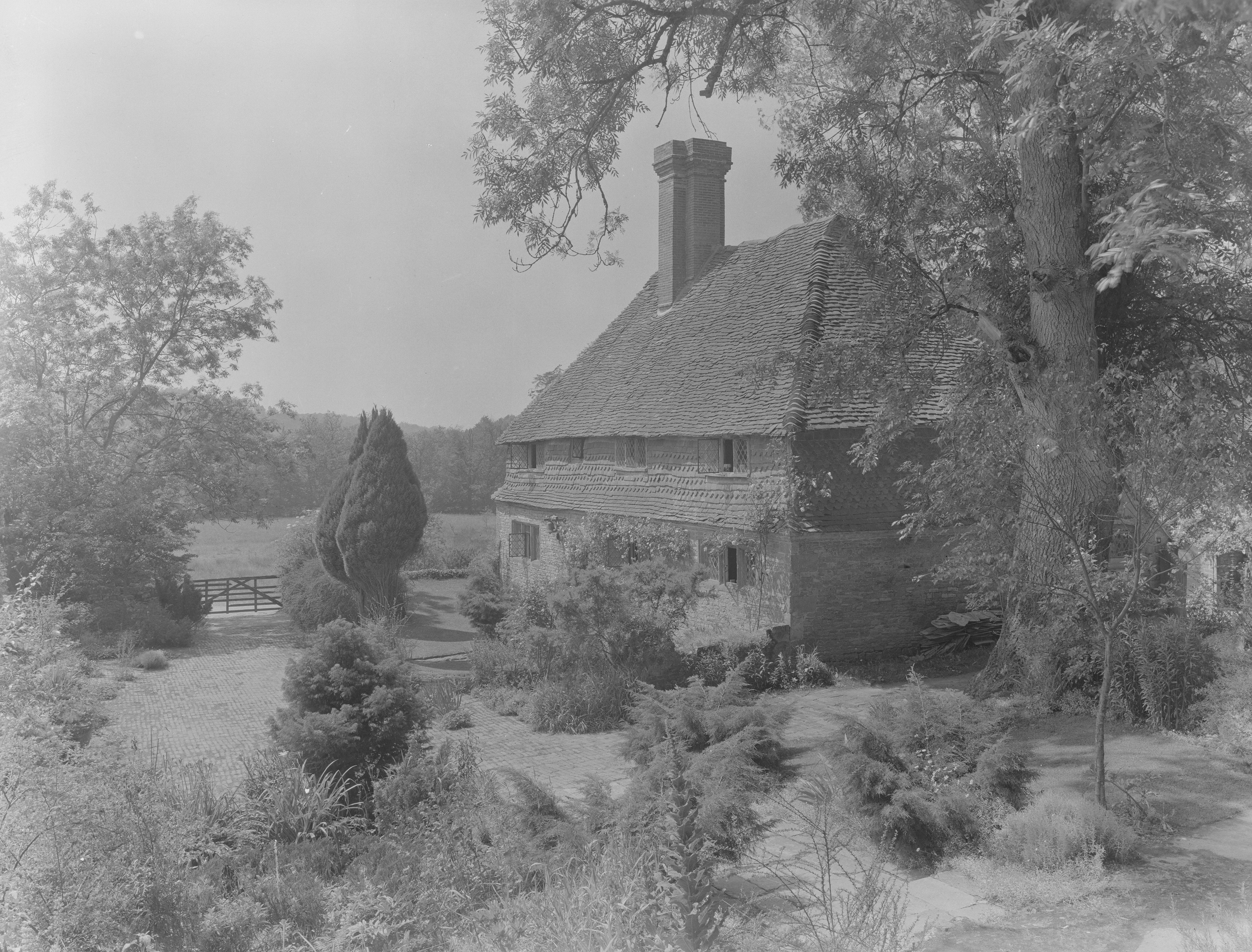 Images of Valewood Farm, with plenty of peacocks