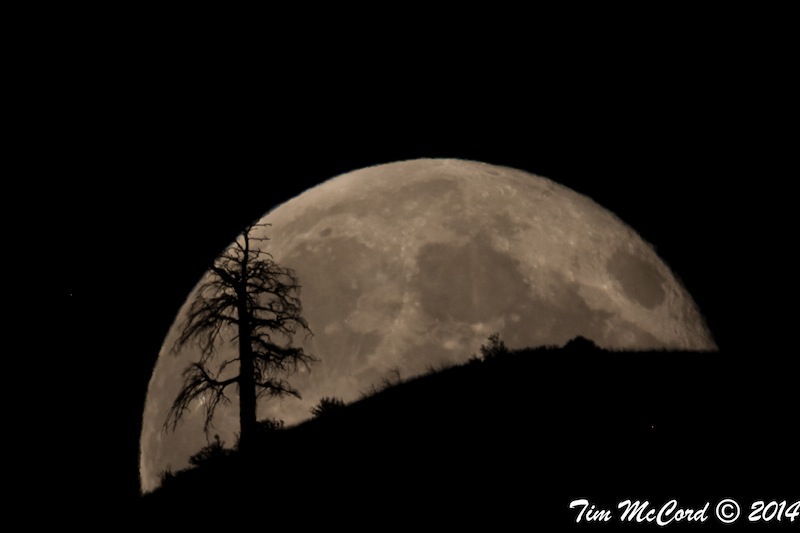 A huge supermoon over Washington