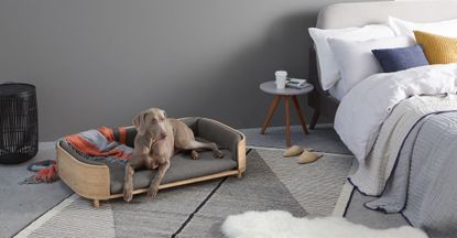 Made.com best dog beds