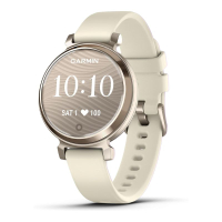 Garmin Lily 2