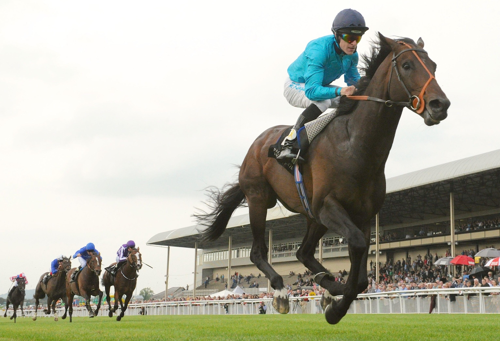 Brown Panther owned by Michael Owen winning Irish St Leger