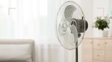 white living room with fan to support a guide to expert fan hacks for maximum cooling