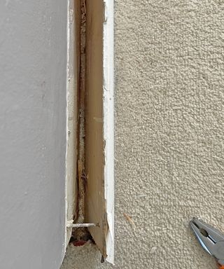 an old skirting board being prized away from the wall exposing an old nail