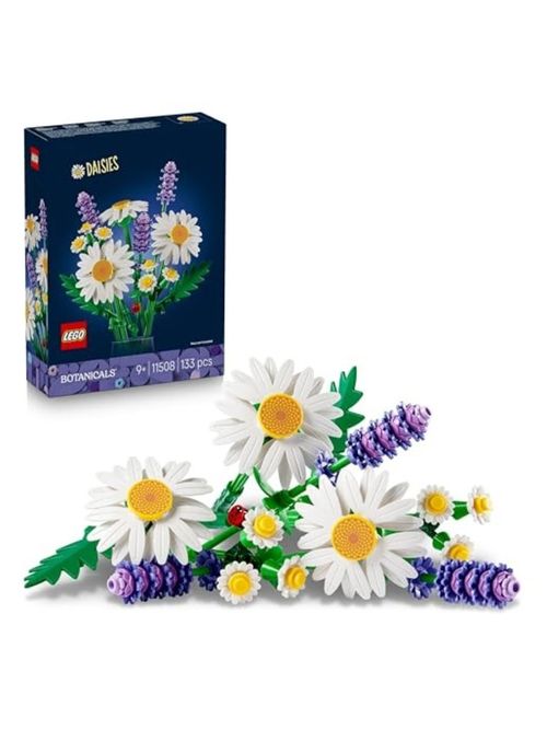 Botanicals Daisies