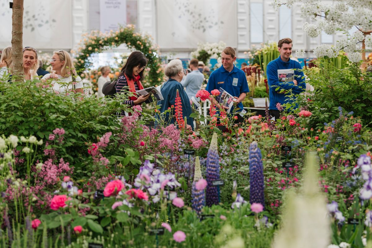Chelsea Flower Show to go online Real Homes
