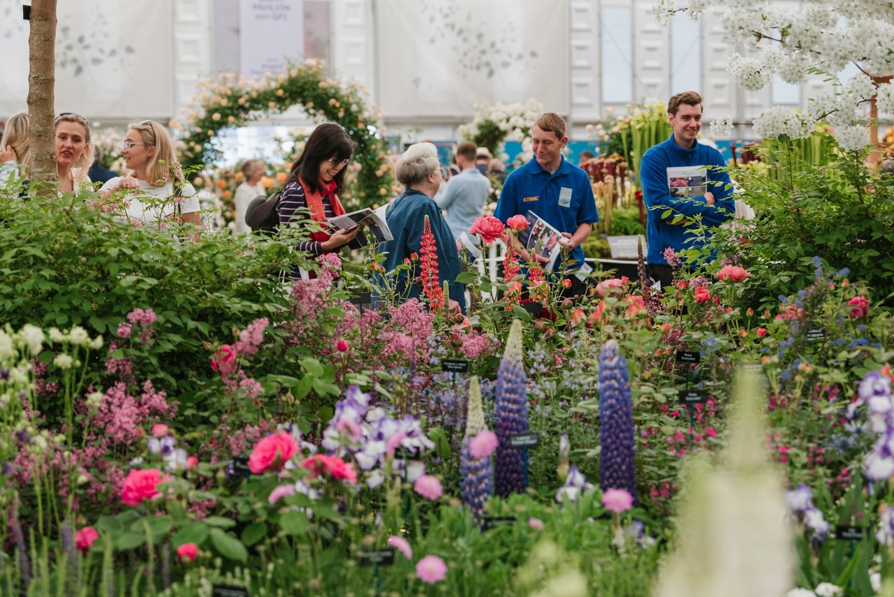 chelsea flower show grand pavilion