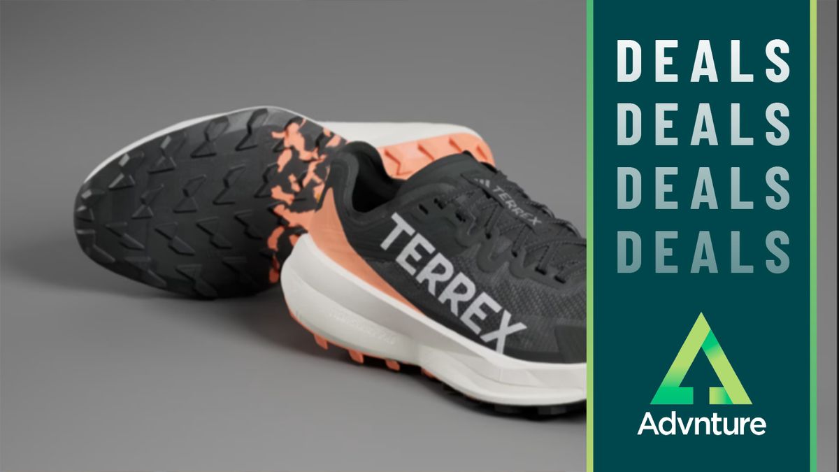 Adidas Terrex Agravid Speed deals image