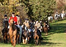 sam_butler-warwickshire.jpg