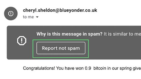 gmail spam bot