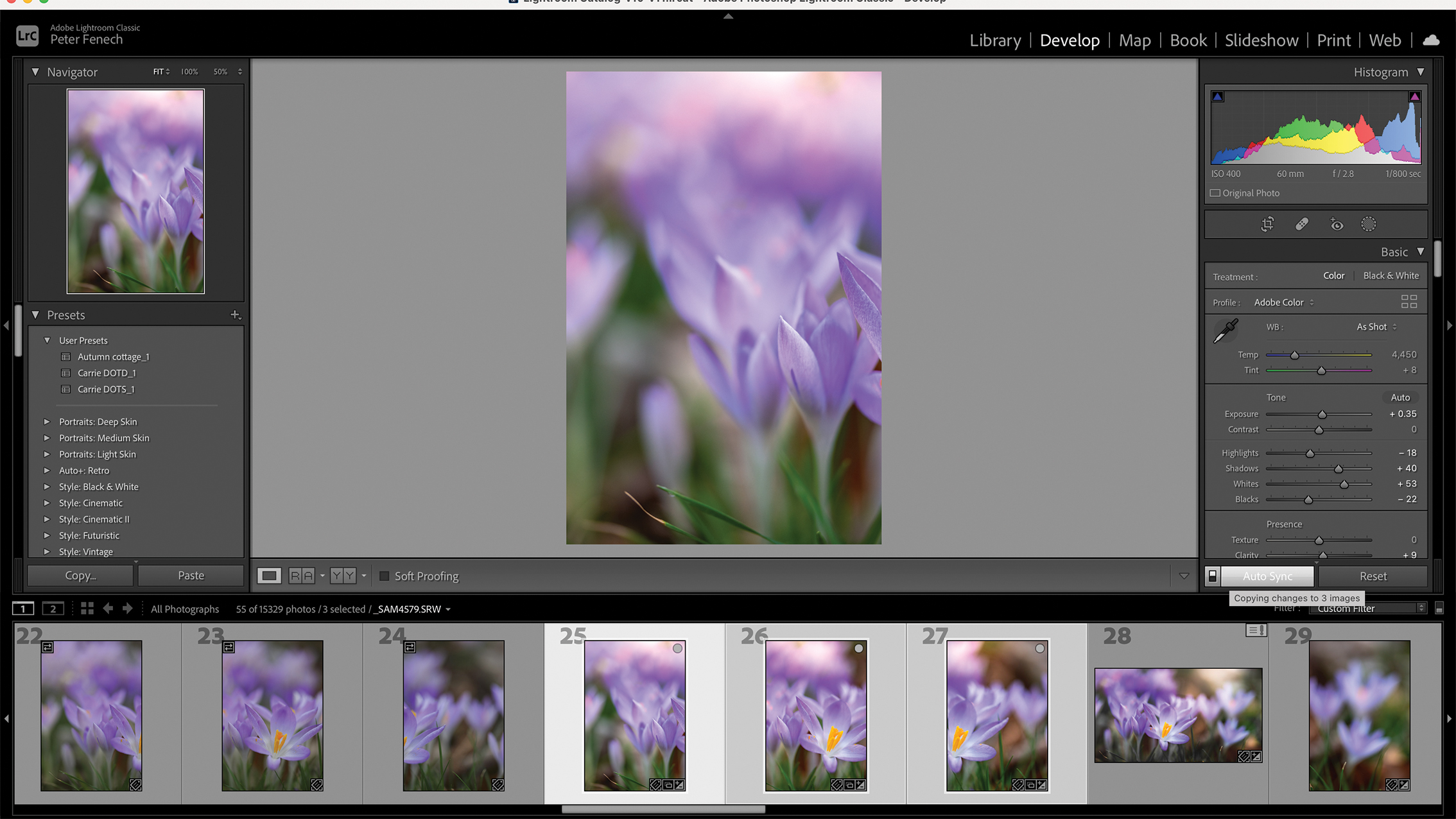 A digital photo of vibrant purple flowers, likely crocuses, being edited in Photoshop. The interface shows layers and color tools