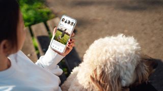 Woman looking at social media with dog sat beside her