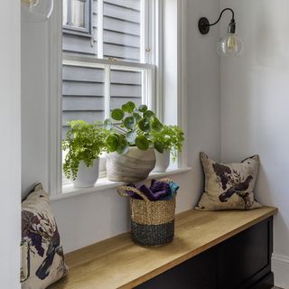 room with white wall and potted plant and cushion