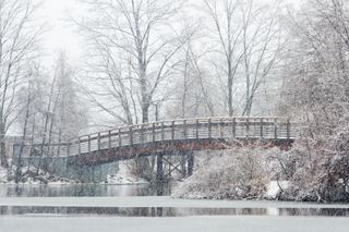 Wooden bridge over a semi-frozen river. Taken in Gallup Park, Michigan (Ann Arbor).