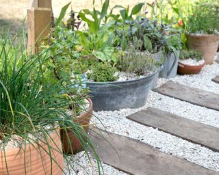 herb pots and gravel path with sleepers
