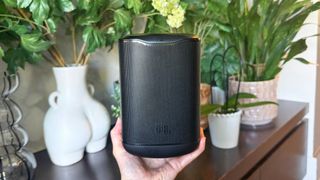 a photo of the jbl cove p1 with plants in the background