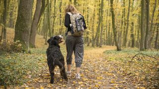 Woman walking the dog in the forest