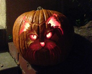 Cat face carved into pumpkin