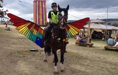 broadmead police horse