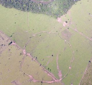 Aerial photo of site ZMt04, which contains the two largest enclosures (330 to 370 m diameter) identified during a survey of the Amazon that revealed it was much more densely populated in pre-Columbian times.
