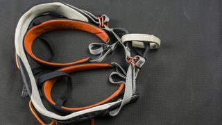 A rock climbing harness