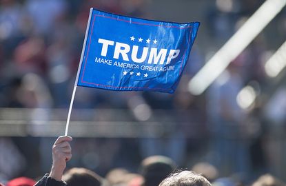 A Donald Trump supporter waves a flag.