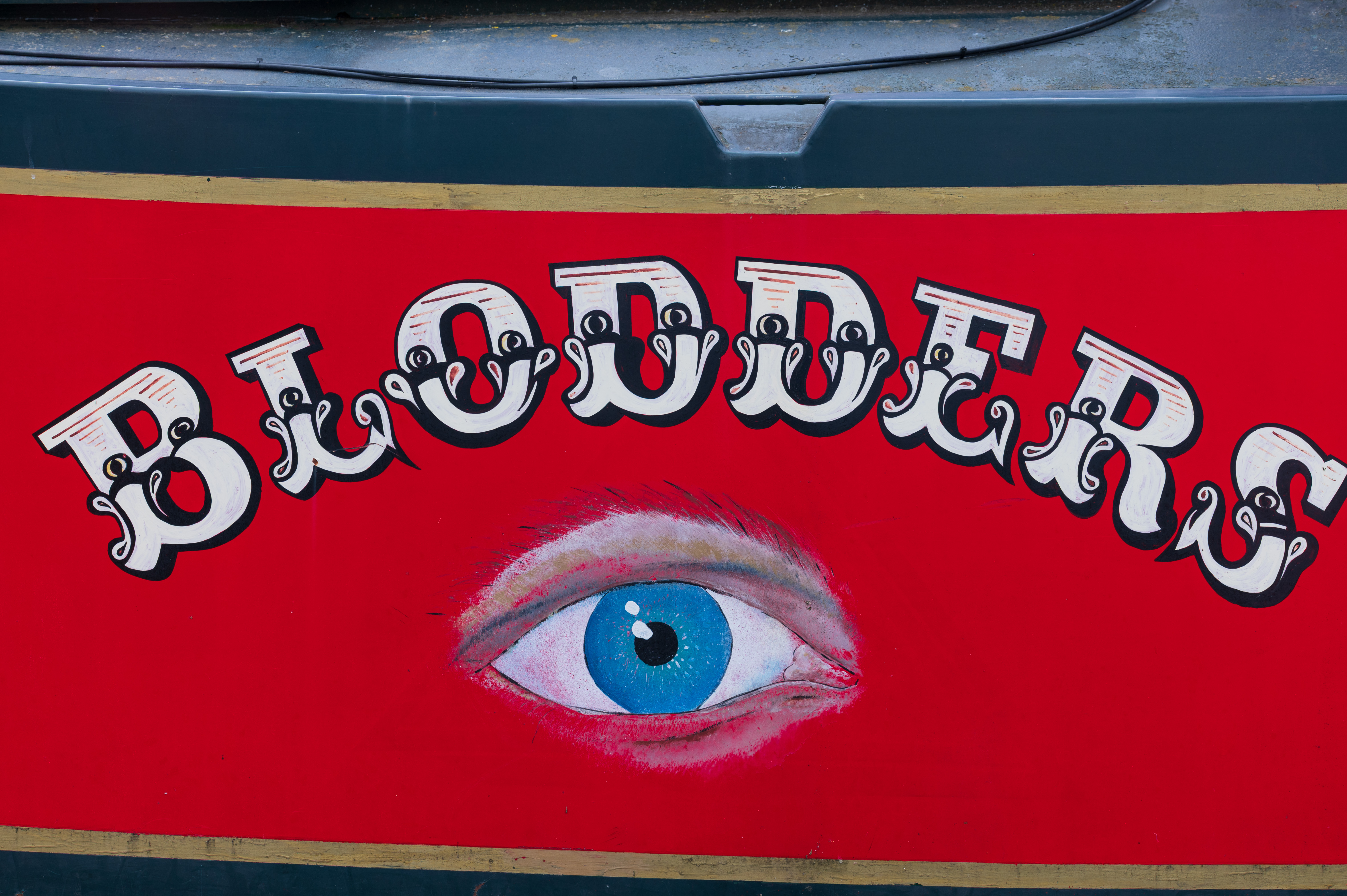 Laowa 200mm f/2 AF FF example shot