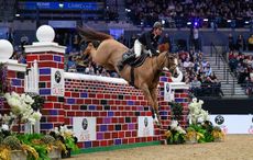 Showjumper Matt Sampson pictured in the puissance at the Liverpool International Horse Show