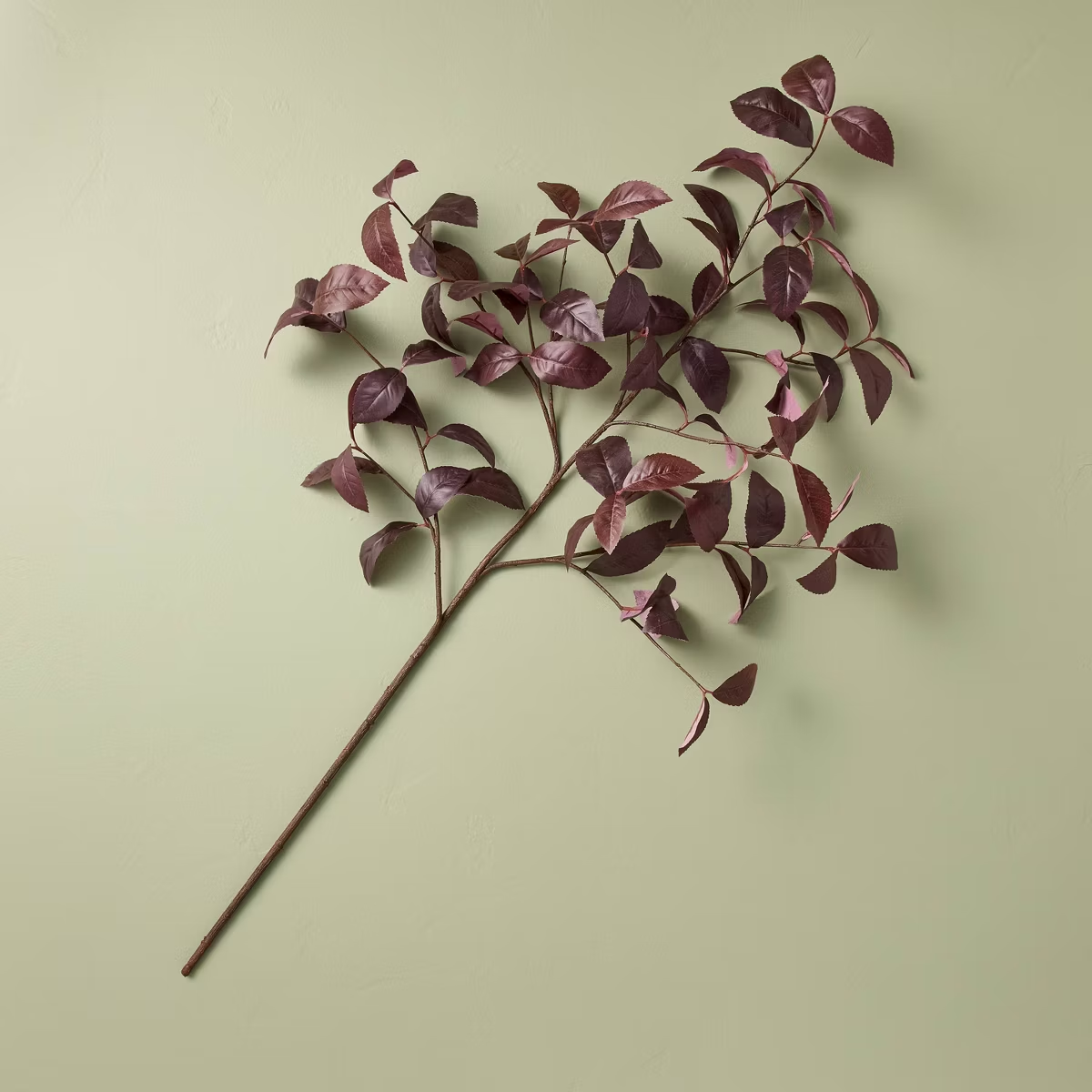 Plum leaf stem