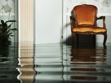 Chair in flooded living room