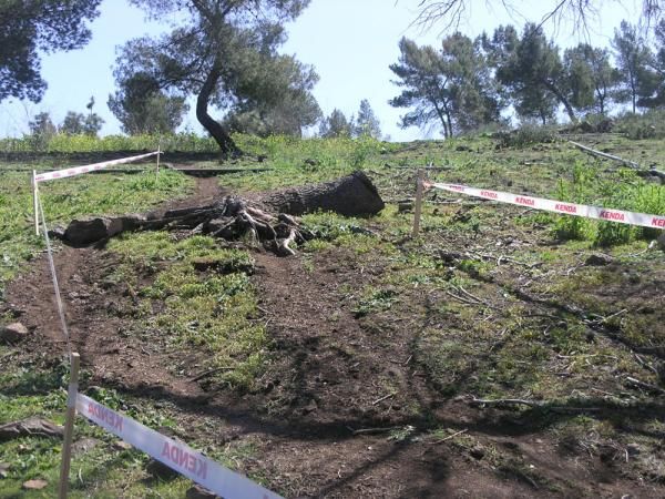 A long downhill at Bonelli Park